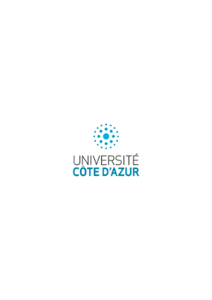 UCA PNG Haut couleur