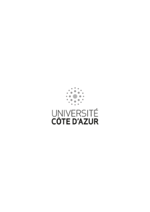UCA PNG Haut gris