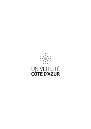 UCA JPEG Haut gris