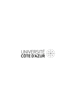 UCA PNG large gris