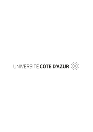 UCA PNG ligne gris