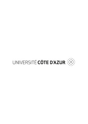 UCA JPEG ligne gris