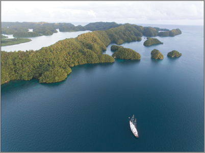 tara pacific 